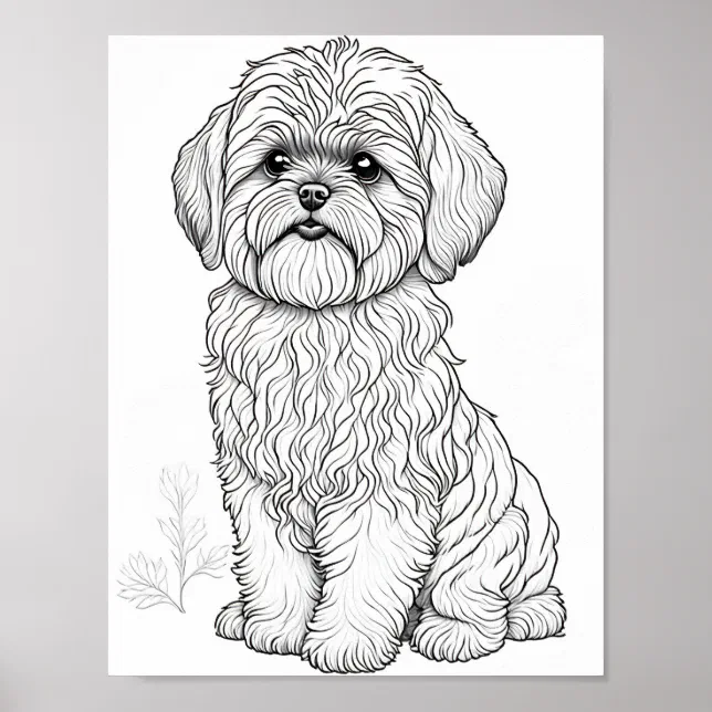 Llasa Apso Dog Adult Coloring Poster Zazzle