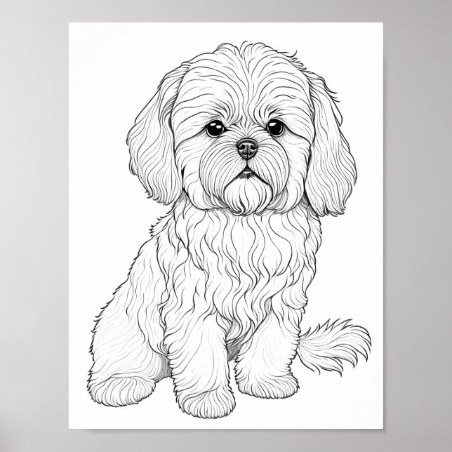 Llasa Apso Dog Adult Coloring Poster (Front)