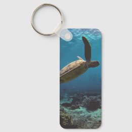 Llavero Keychain