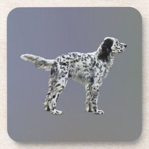 LLewellin Setter Beverage Coaster