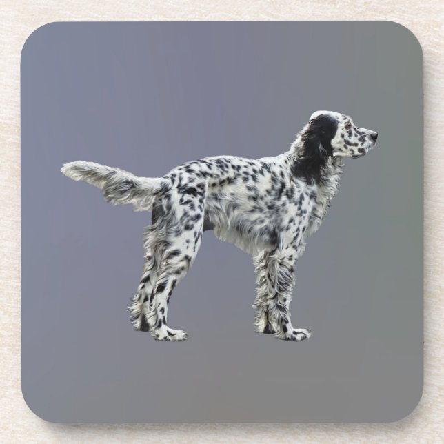 LLewellin Setter Beverage Coaster (Front)
