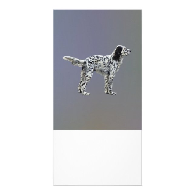 LLewellin Setter Card (Front)