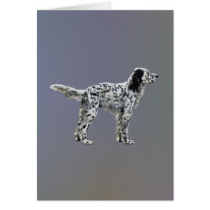LLewellin Setter Cards