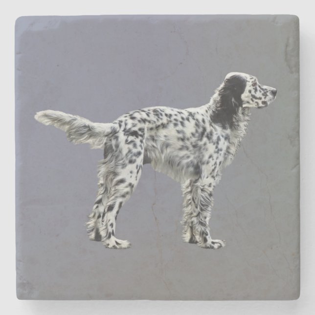 LLewellin Setter Stone Coaster (Front)