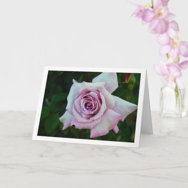 Llilac Rose Portrait Card (Orchid)