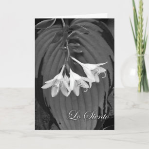 Lo Siento, Sympathy in Spanish, Hosta Blooms Card