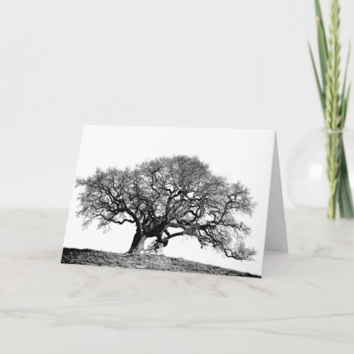 LOAD OAK TREE CARD