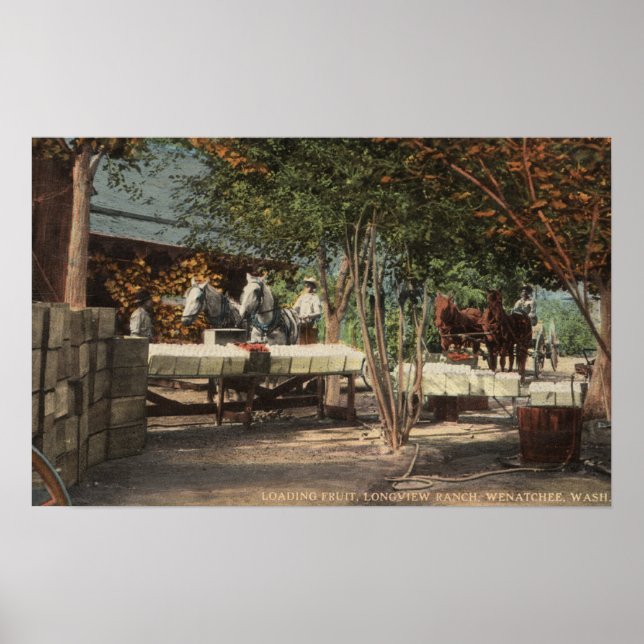 Loading Fruit at Longview Ranch Poster (Front)