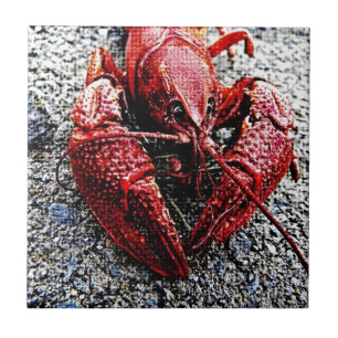 Lob Daddy Ceramic Tile