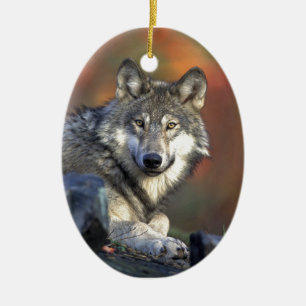 Lobo Gris Ceramic Ornament