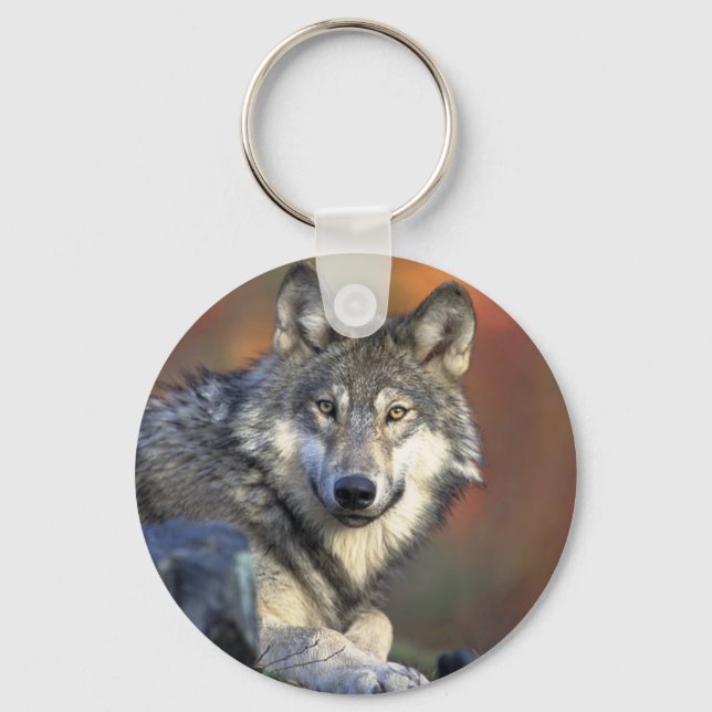 Lobo Gris Keychain (Front)