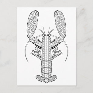 Lobster Adult Coloring Postcard