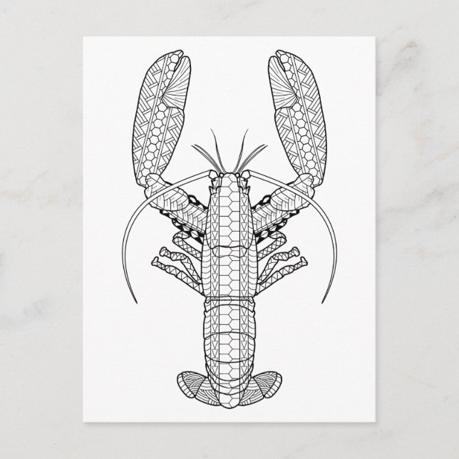 Lobster Adult Coloring Postcard (Front)