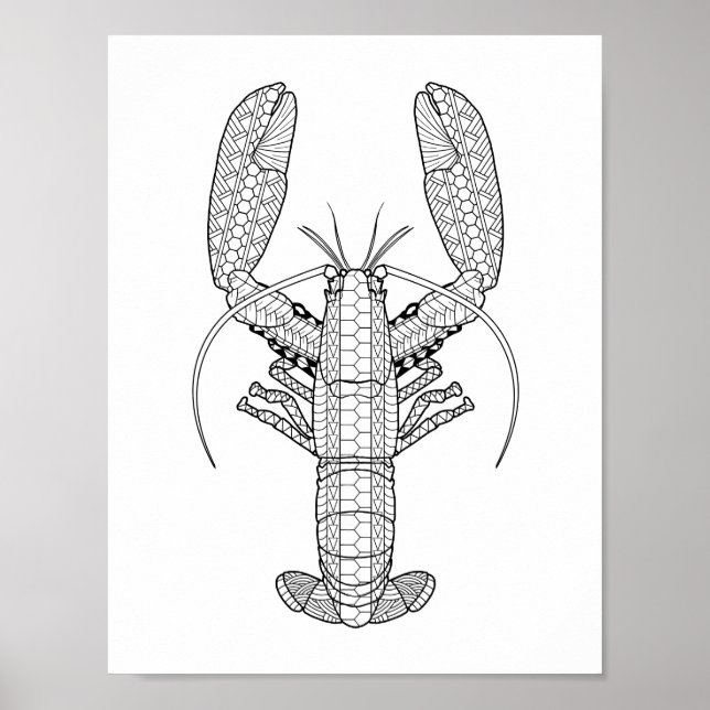 Lobster Adult Coloring Poster (Front)