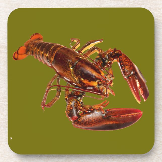 Lobster Beverage Coaster (Front)