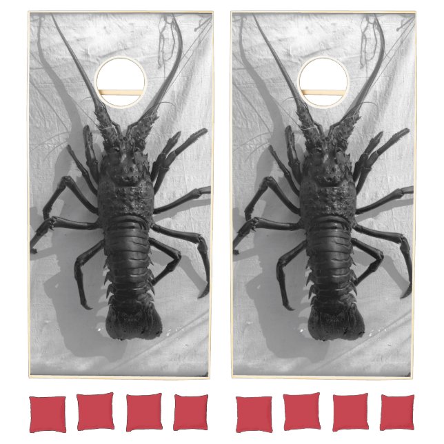 Lobster Black and White Photograph Cornhole Set (Set)
