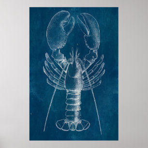 Lobster Blueprint Poster