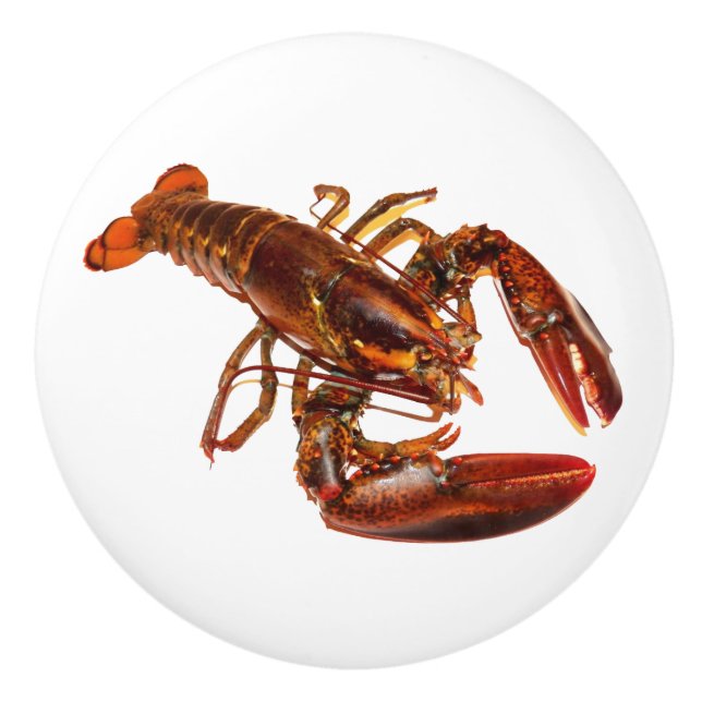 Lobster Ceramic Knob (Front)