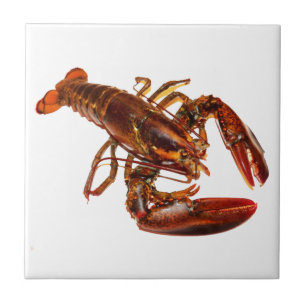 Lobster Ceramic Tile