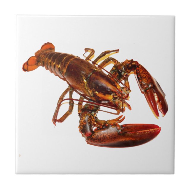 Lobster Ceramic Tile (Front)