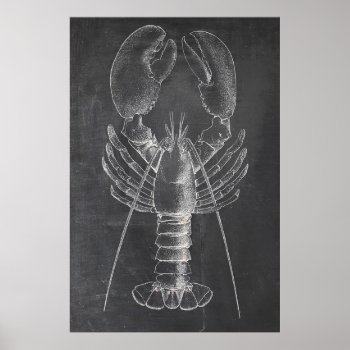 Lobster Chalkboard Poster by OldArtReborn at Zazzle