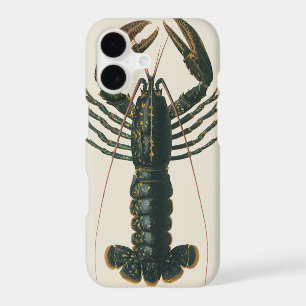 Lobster Claws Vintage Marine Ocean Life Crustacean iPhone 17 Case