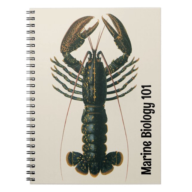 Lobster Claws Vintage Marine Ocean Life Crustacean Notebook (Front)