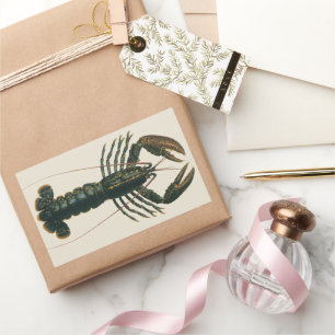 Lobster Claws Vintage Marine Ocean Life Crustacean Rectangular Sticker