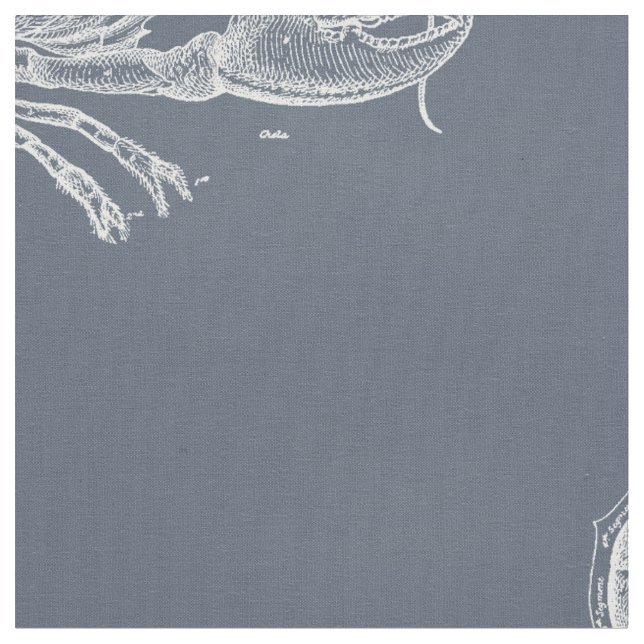 Lobster Fabric (Close Up)