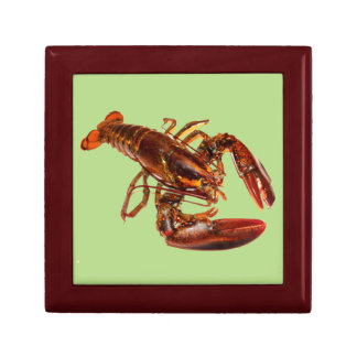 Lobster Gift Box