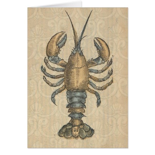 Lobster Illustration Antique Maine Seafood