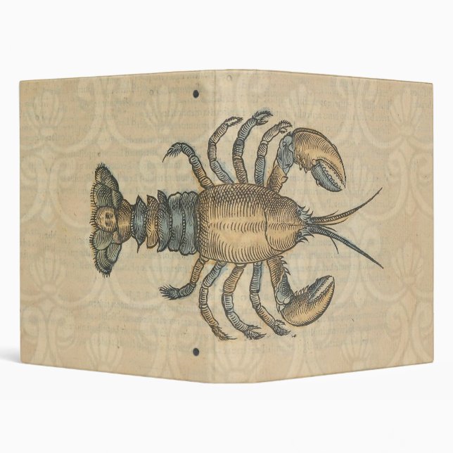 Lobster Illustration Antique Maine Seafood 3 Ring Binder (Background)