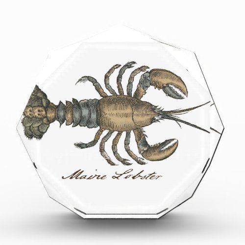 Lobster Illustration Antique Maine Seafood Award