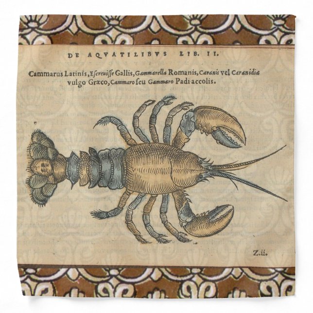 Lobster Illustration Antique Maine Seafood Bandana (Front)