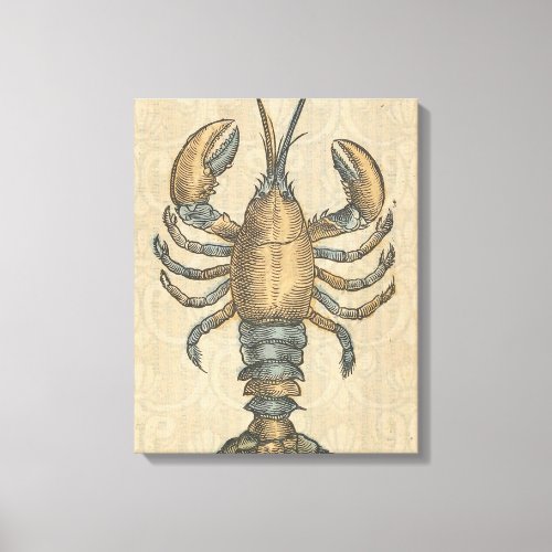 Lobster Illustration Antique Maine Seafood Canvas Print