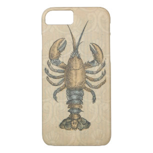 Lobster Illustration Antique Maine Seafood iPhone 8/7 Case