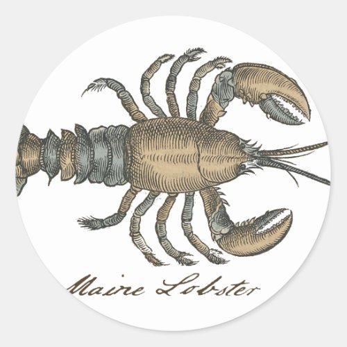 Lobster Illustration Antique Maine Seafood Classic Round Sticker
