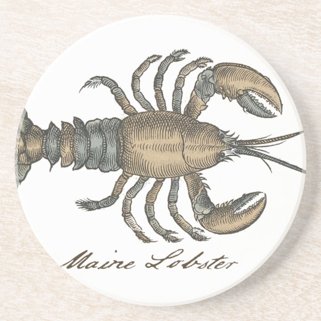Lobster Illustration Antique Maine Seafood Drink Coaster (Front)
