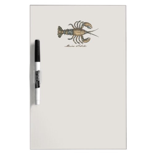 Lobster Illustration Antique Maine Seafood Dry_Erase Board