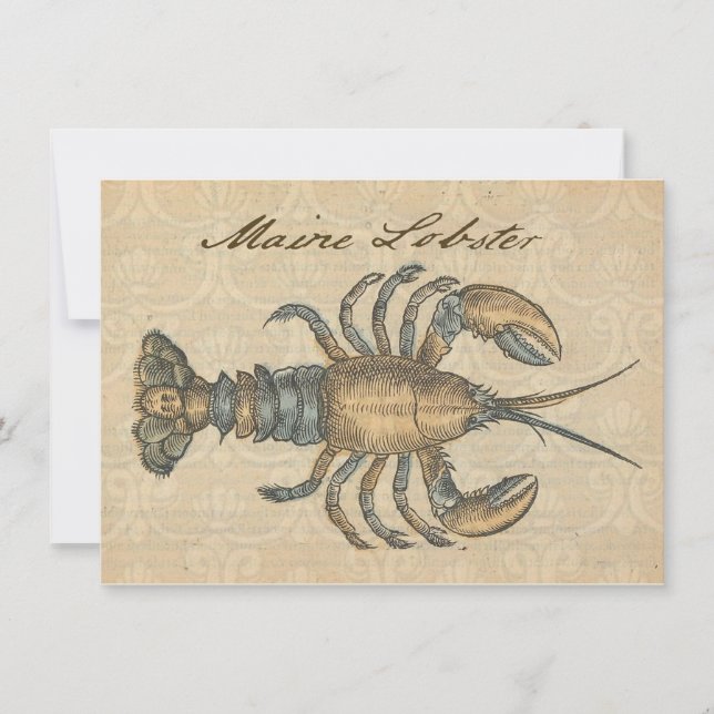 Lobster Illustration Antique Maine Seafood Invitation (Front)