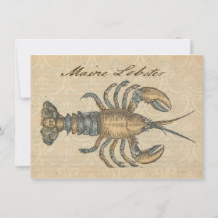 Lobster Illustration Antique Maine Seafood Invitation