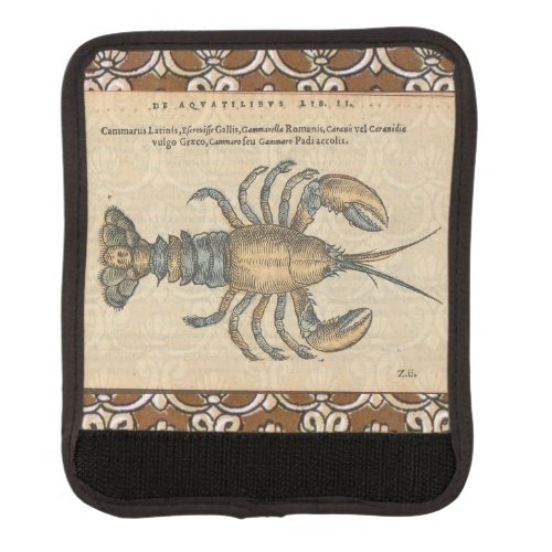 Lobster Illustration Antique Maine Seafood Luggage Handle Wrap