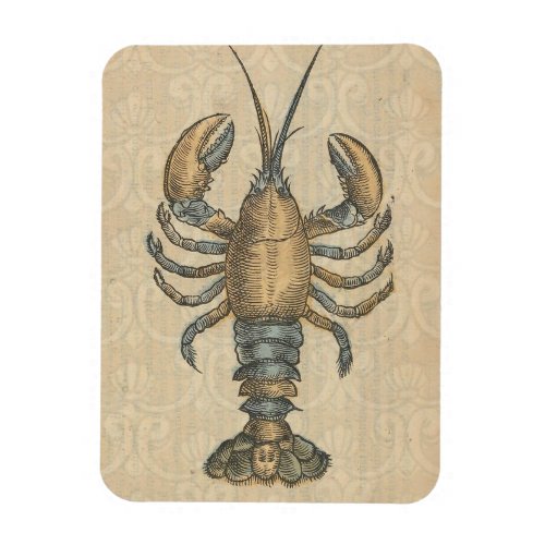 Lobster Illustration Antique Maine Seafood Magnet