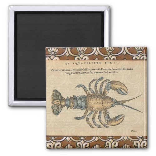 Lobster Illustration Antique Maine Seafood Magnet