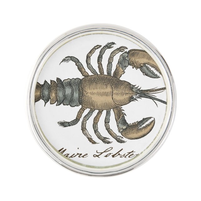 Lobster Illustration Antique Maine Seafood Pin (Front)