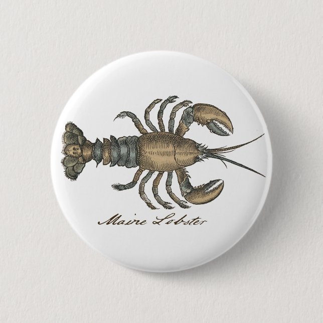 Lobster Illustration Antique Maine Seafood Pinback Button (Front)