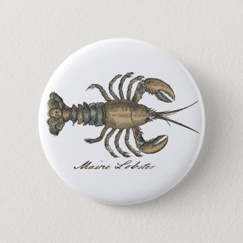 Lobster Illustration Antique Maine Seafood Pinback Button