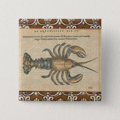 Lobster Illustration Antique Maine Seafood Pinback Button