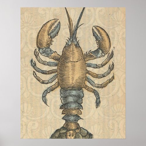 Lobster Illustration Antique Maine Seafood Poster