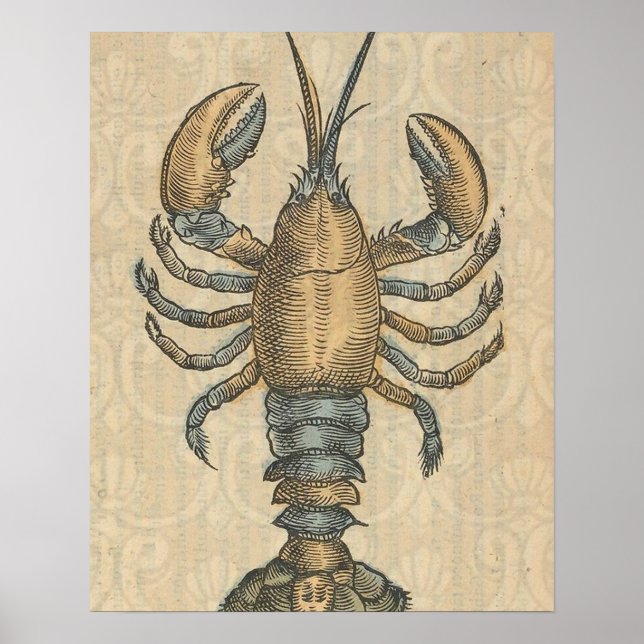 Lobster Illustration Antique Maine Seafood Poster (Front)